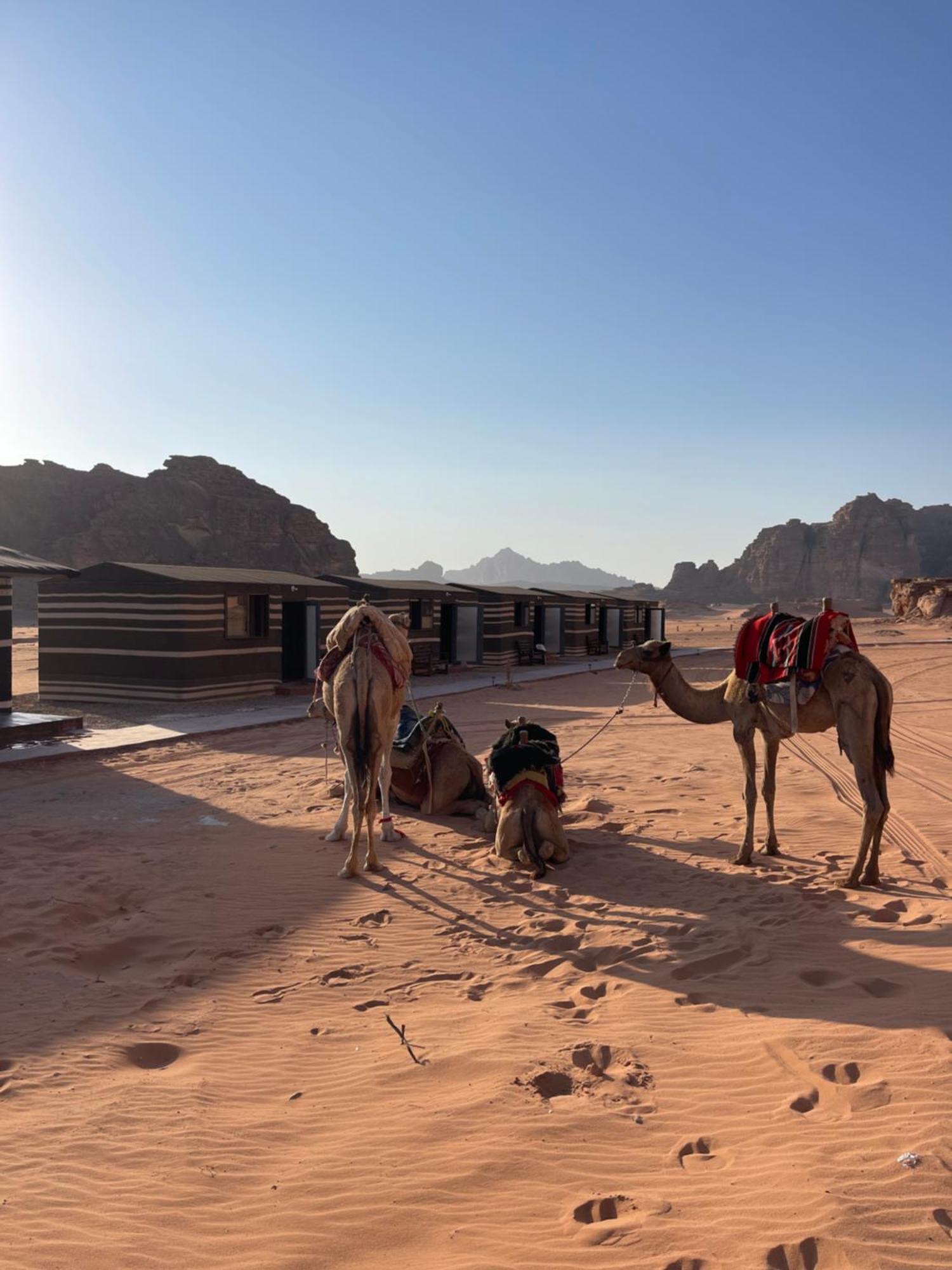 Wadi Rum Magic Camp Dış mekan fotoğraf