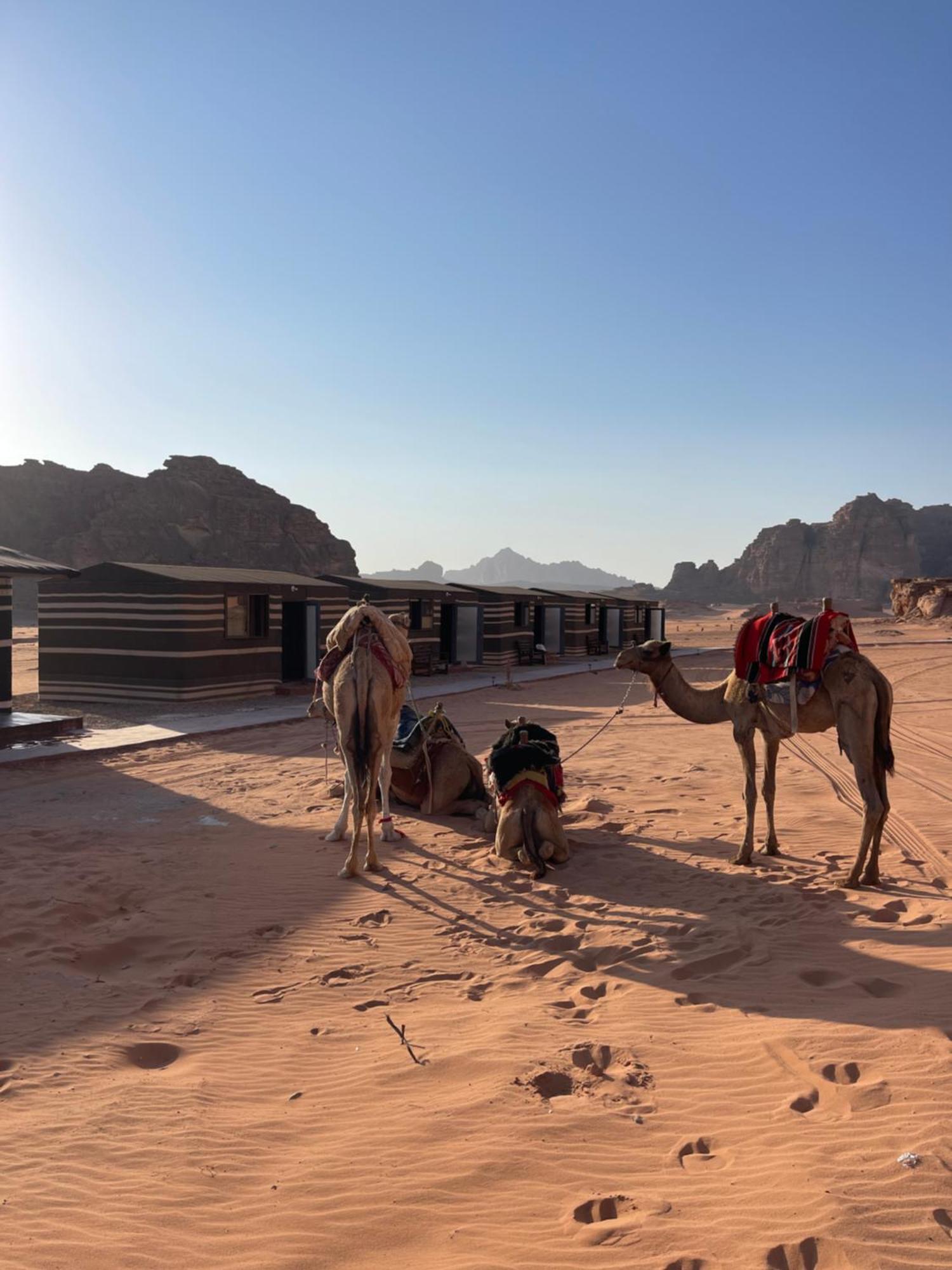 Wadi Rum Magic Camp Otel Dış mekan fotoğraf